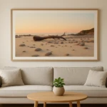 Morning Light on Driftwood Morning Light on Driftwood